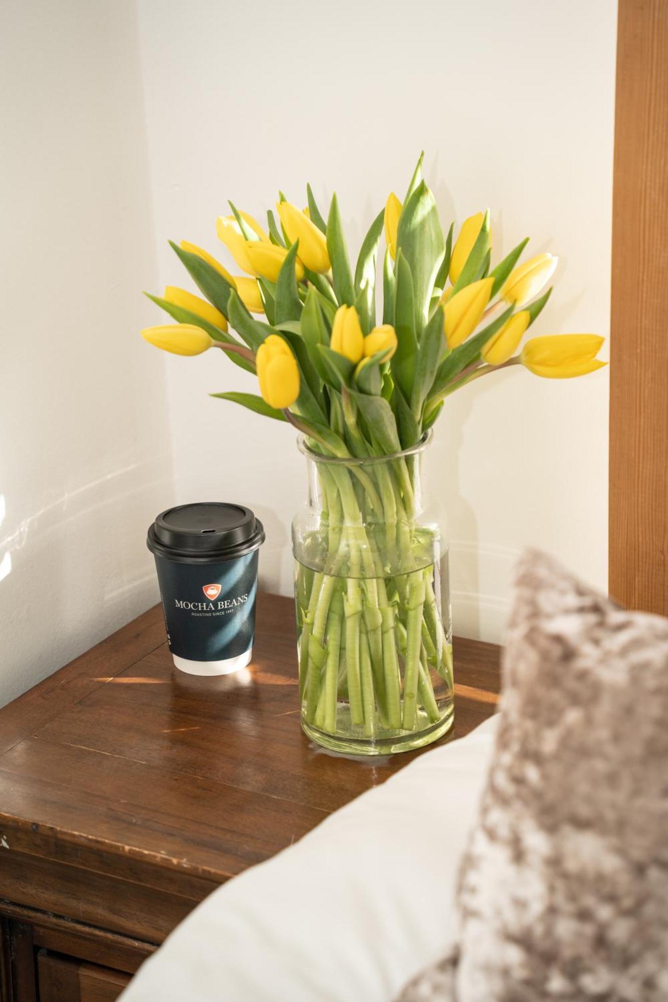 Mocha Newcastle Bed and Breakfast Galway Buitenkant foto